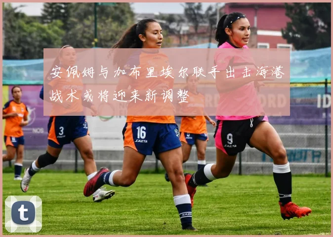 安佩姆与加布里埃尔联手出击海港战术或将迎来新调整