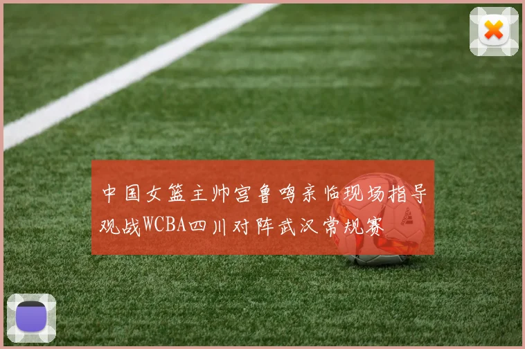 中国女篮主帅宫鲁鸣亲临现场指导观战WCBA四川对阵武汉常规赛