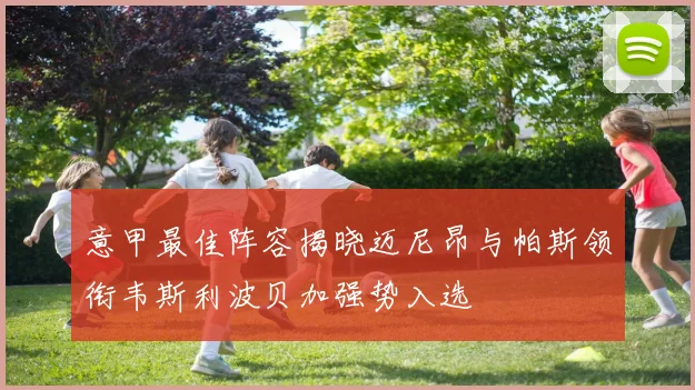 意甲最佳阵容揭晓迈尼昂与帕斯领衔韦斯利波贝加强势入选