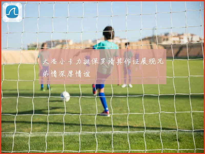 大洛小卡力挺保罗请其作证展现兄弟情深厚情谊
