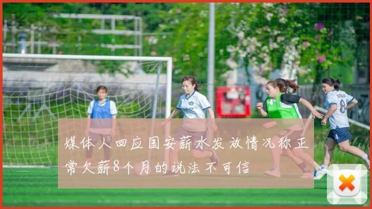 媒体人回应国安薪水发放情况称正常欠薪8个月的说法不可信