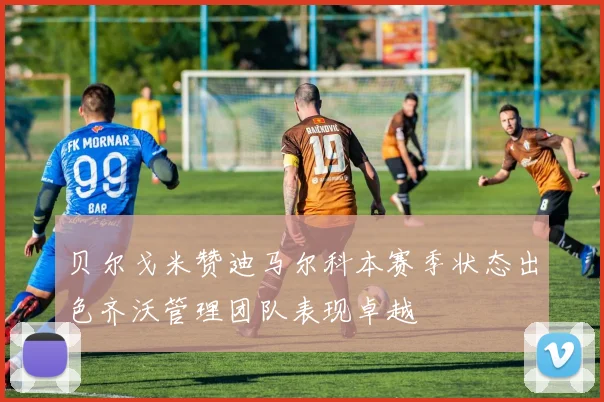 贝尔戈米赞迪马尔科本赛季状态出色齐沃管理团队表现卓越