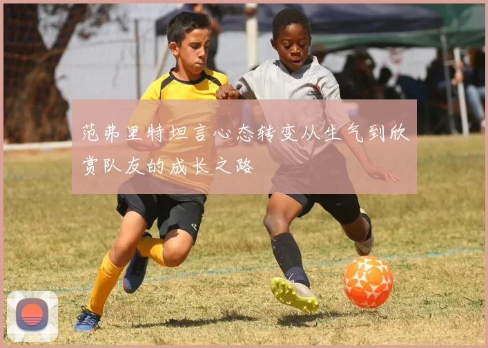 范弗里特坦言心态转变从生气到欣赏队友的成长之路