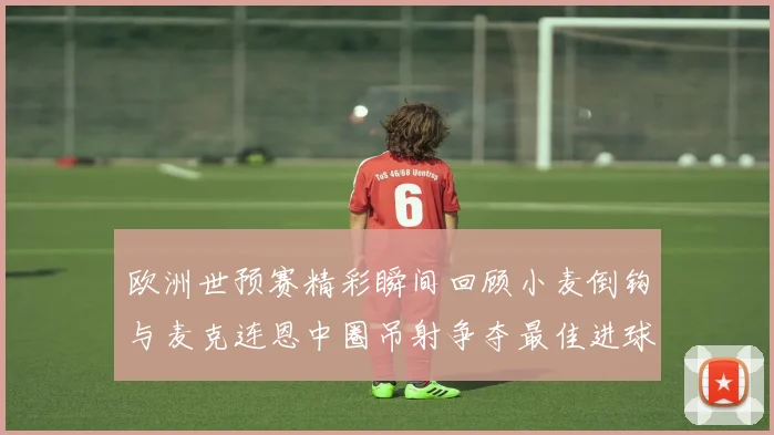 欧洲世预赛精彩瞬间回顾小麦倒钩与麦克连恩中圈吊射争夺最佳进球