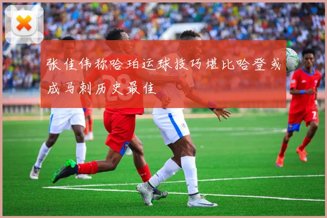 张佳伟称哈珀运球技巧堪比哈登或成马刺历史最佳